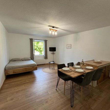 "Le Caneton" Studio Hyper Centre Tout Equipee Apartment Sarlat-la-Caneda Luaran gambar